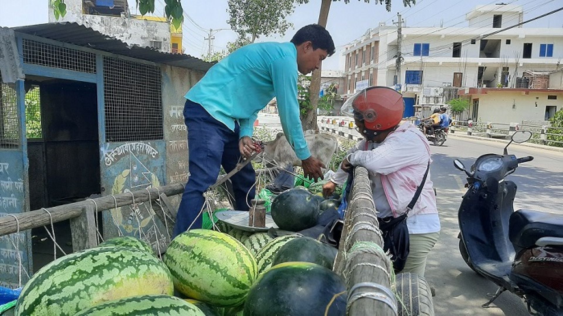 खरबुजा बिक्रीबाट दैनिक १२ हजारसम्म आम्दानी गर्दै किसान